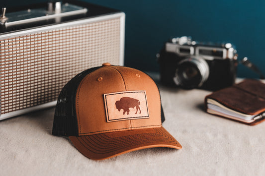 Bison